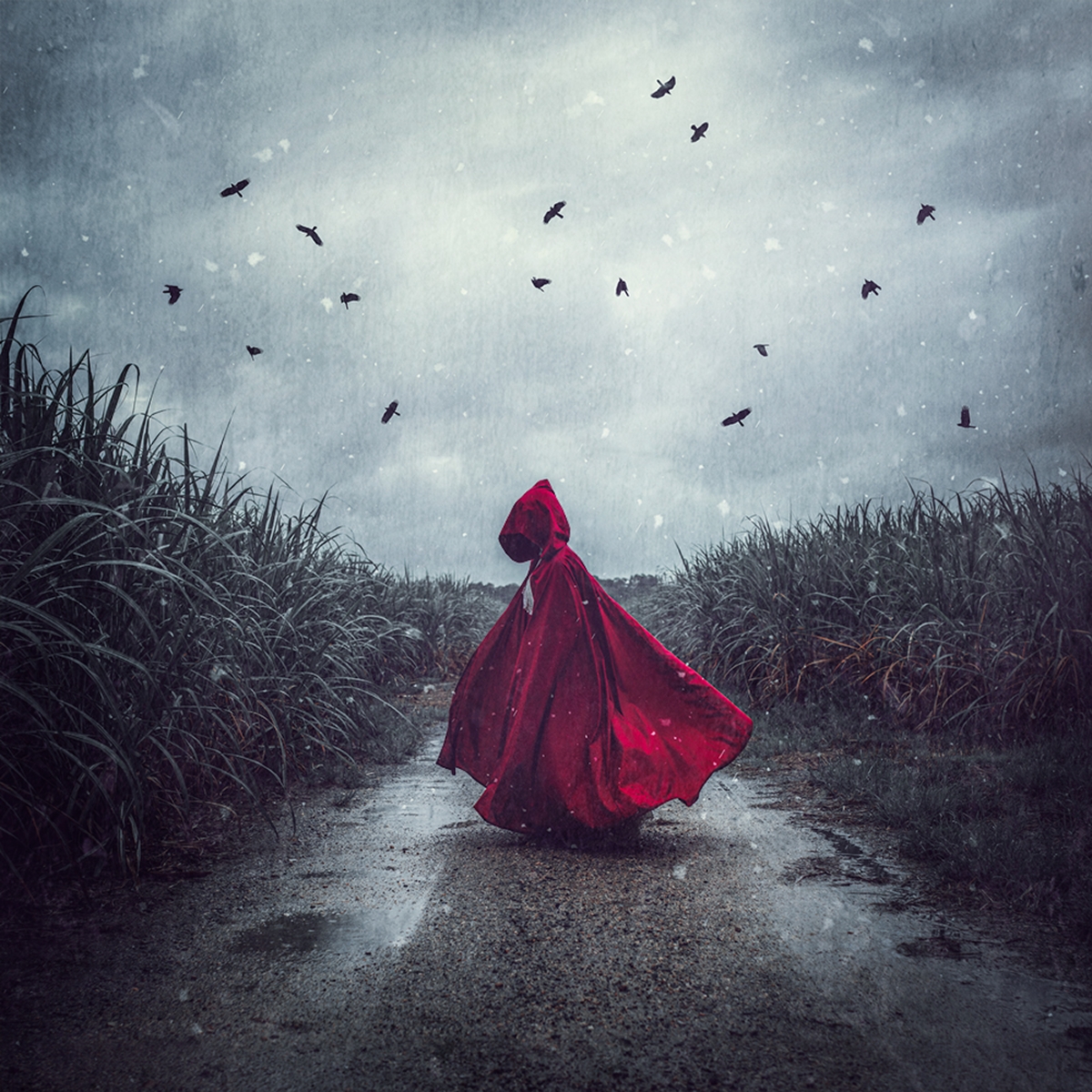 2021 Open Colour Section "The Girl In The Red Cloak" by Charli Savage: Awarded APS Gold Medal