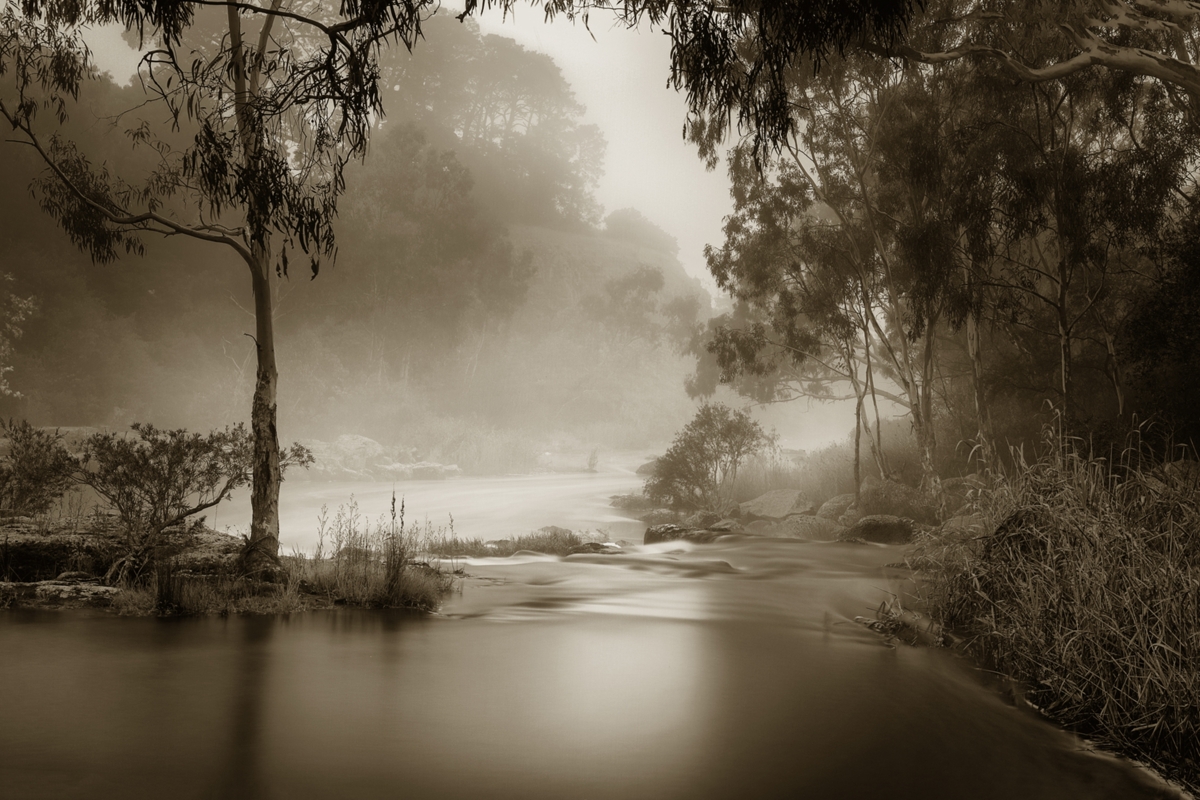 2021 Open Monochrome Section "Mist On The Barwon River" by Terry Reichl: Awarded APS Silver Medal